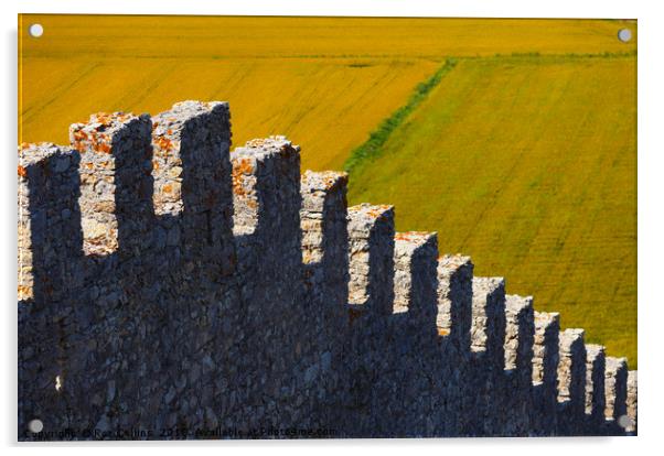 Castelo do Montemor-o-Velho Above the Rice Fields Acrylic by Roz Collins