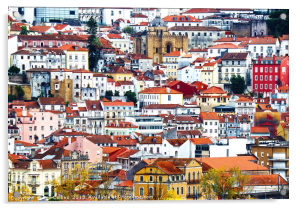The Old, Very Old and The New, Coimbra, Portugal Acrylic by Roz Collins