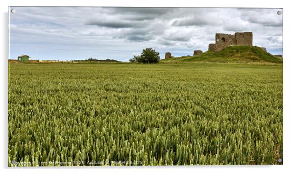 The Enchanting Duffus Castle Acrylic by Tom McPherson