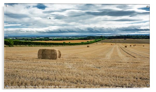 Harvest's End: A Moray Field's Story Acrylic by Tom McPherson
