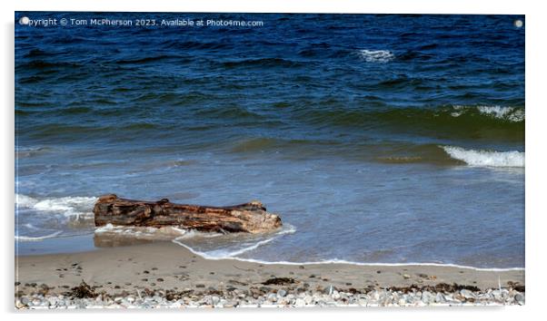 Sand-Kissed Driftwood: Nature's Artistry Acrylic by Tom McPherson