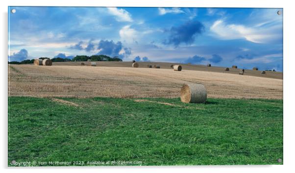 Golden Harvest in Duffus, Moray Acrylic by Tom McPherson