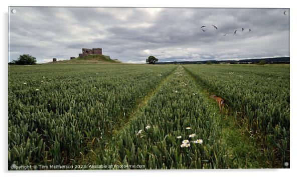 Duffus Castle and Laich of Moray Acrylic by Tom McPherson