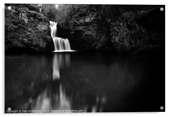 The Linn Falls  Acrylic by Tom McPherson