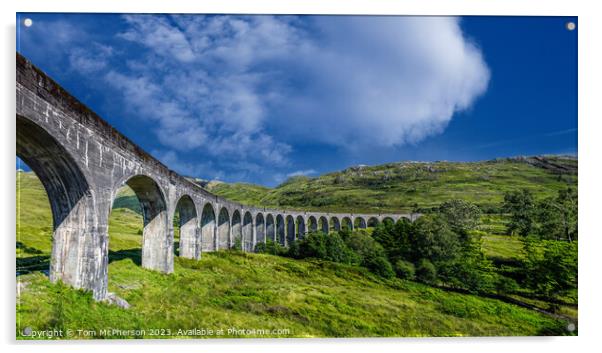 Glenfinnan Viaduct  Acrylic by Tom McPherson