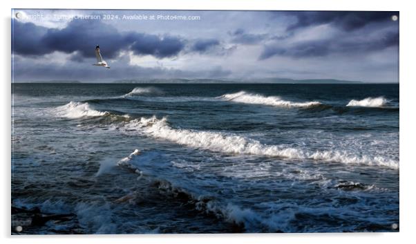 Moray Coast seascape Acrylic by Tom McPherson