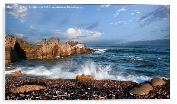 Daisy Rock, Hopeman Acrylic by Tom McPherson