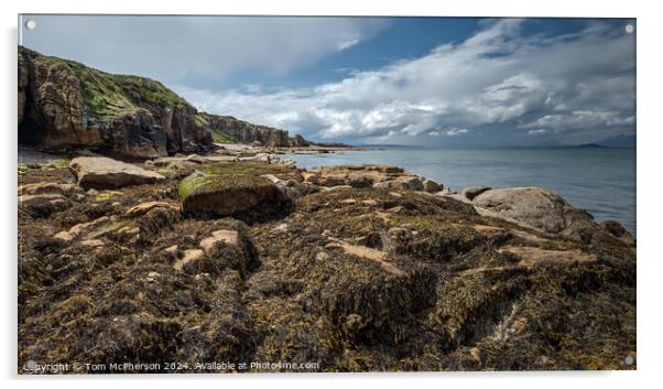 Rugged Moray Coastline Acrylic by Tom McPherson