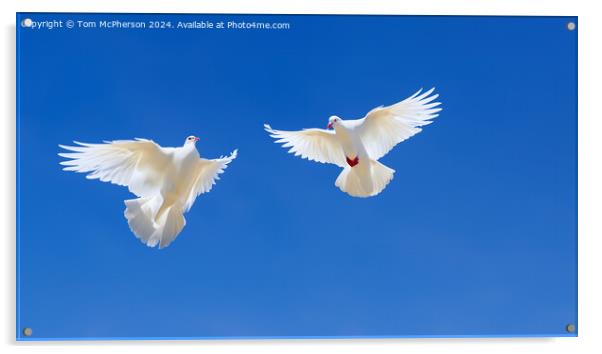 White Doves of Peace Acrylic by Tom McPherson