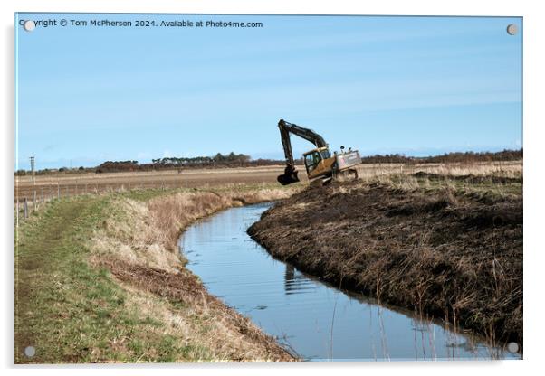 Dredging the moat at Duffus Castle Acrylic by Tom McPherson