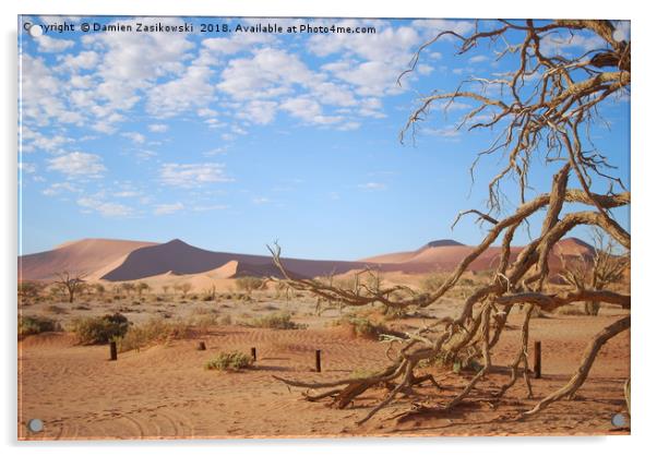 Dead tree in the namib desert Acrylic by Damien Zasikowski