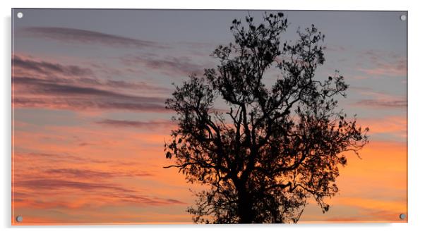 Sunset Sky over Uttoxeter Acrylic by David Jeffery