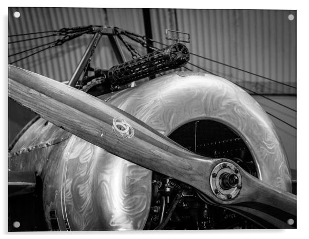 Fokker Eindecker WW1 Fighter Acrylic by David Jeffery