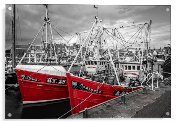 Ubique and Marigold, Arbroath Harbour (2) Acrylic by David Jeffery