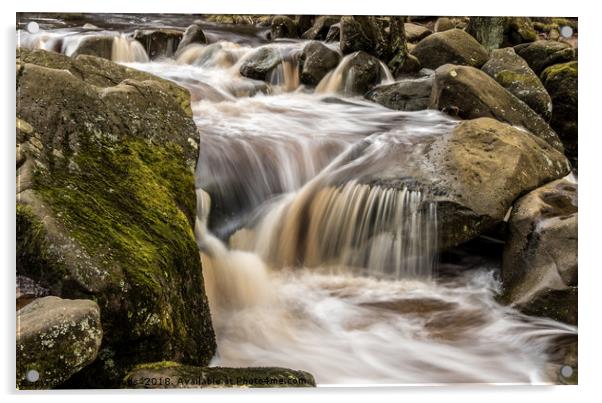 Burbage Brook, Padley Gorge, Derbyshire 2 Acrylic by Lisa Hands