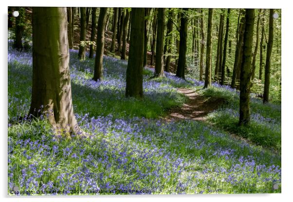 Bluebell Wood, Moss Valley 1 Acrylic by Lisa Hands