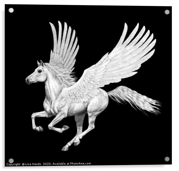 Iconic Pegasus Acrylic by Lisa Hands