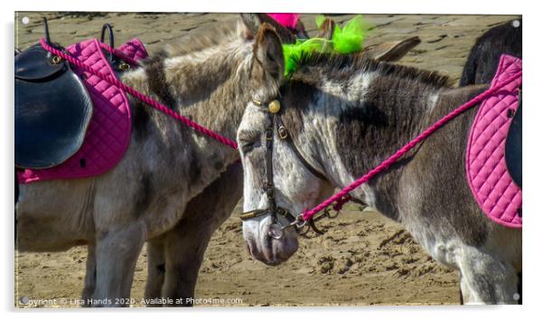 Seaside Donkeys Acrylic by Lisa Hands