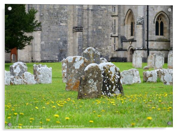 Gravestones at Christchurch Priory Acrylic by Nathalie Hales