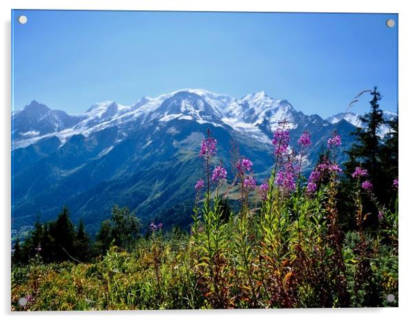 Mont Blanc from Petit Prarion - 2 Acrylic by Nathalie Hales
