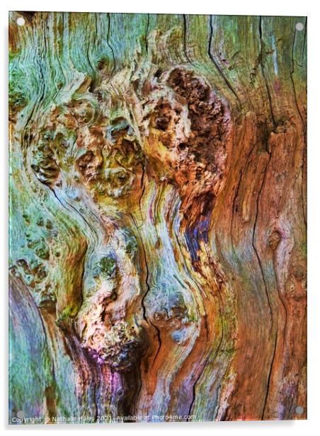 Tree Bark Acrylic by Nathalie Hales