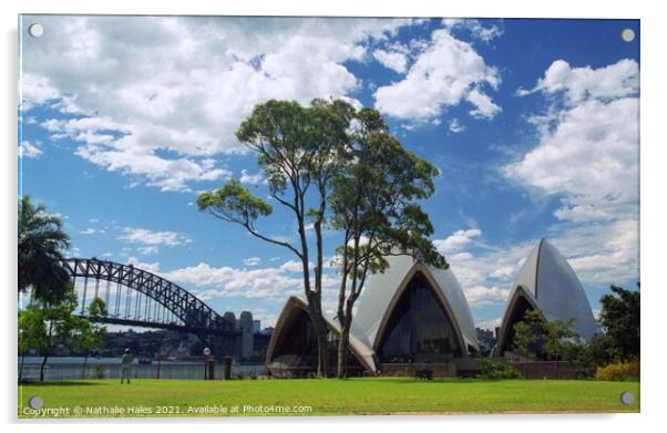 Sydney Opera House and Harbour Bridge Acrylic by Nathalie Hales
