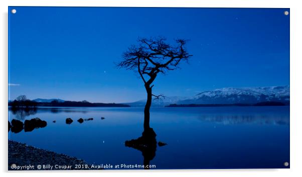 The Lone Tree Acrylic by Billy Coupar