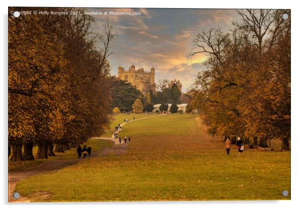 Autumn's Golden Embrace at Wollaton Park Acrylic by Holly Burgess
