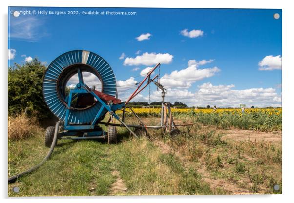 Farming equipment  plough Acrylic by Holly Burgess