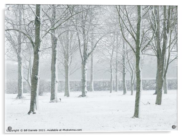 Winter Trees  Acrylic by Bill Daniels