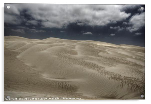 Dunes Acrylic by Danny Cannon