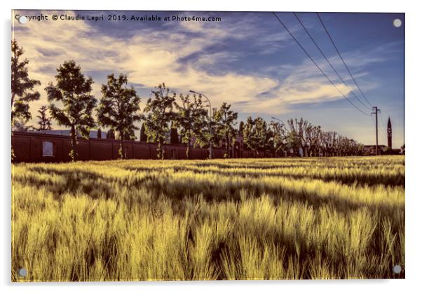 City wheatfield Acrylic by Claudio Lepri