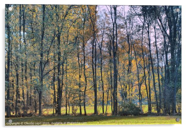 Autumnal plant tree screen Acrylic by Claudio Lepri