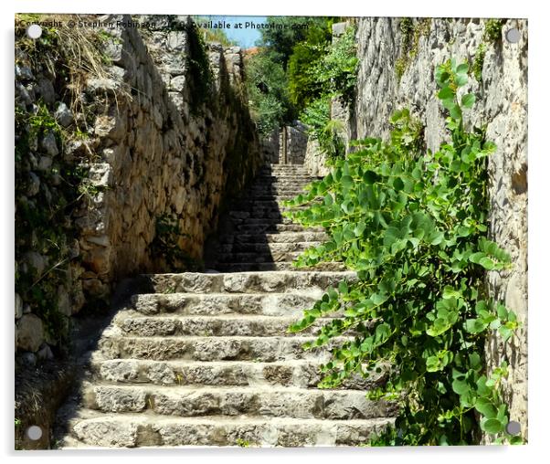 Ancient stone steps with wildflowers Acrylic by Stephen Robinson