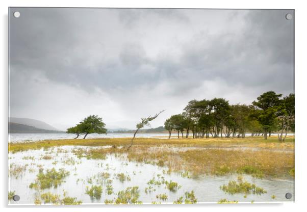 Loch Tulla, high water Acrylic by Tony Higginson