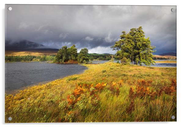 Loch Tulla Acrylic by Tony Higginson