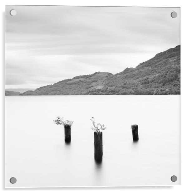 Loch Lomond jetty stumps Acrylic by Tony Higginson