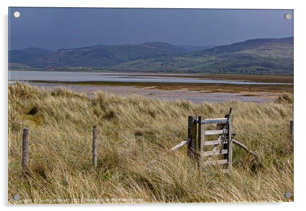 Ynyslas sand dunes covered with Marram grass, looking across the river Dyfi Acrylic by Jenny Hibbert
