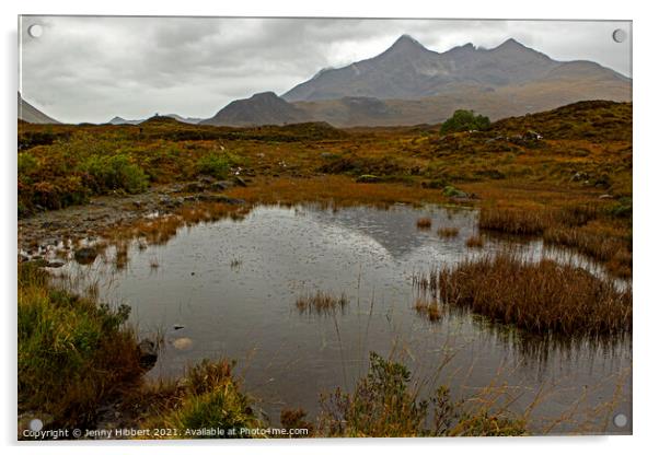 Pond next to Sligachan bridge with the Cuillin mountains in the distance Acrylic by Jenny Hibbert