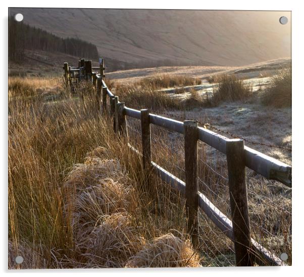 Fence on a frosty morning in the Brecon beacons Wa Acrylic by Jenny Hibbert