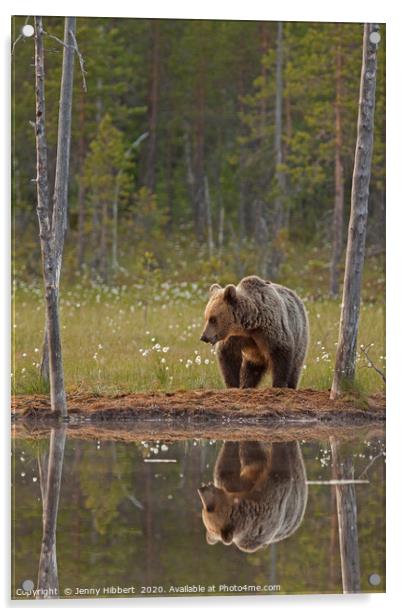 Brown Bear by lake Acrylic by Jenny Hibbert