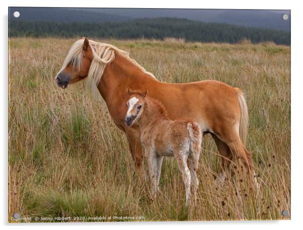 Mare with young foal Acrylic by Jenny Hibbert
