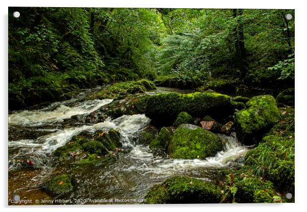 Rocks in river Lyn Lynmouth Somerset Acrylic by Jenny Hibbert