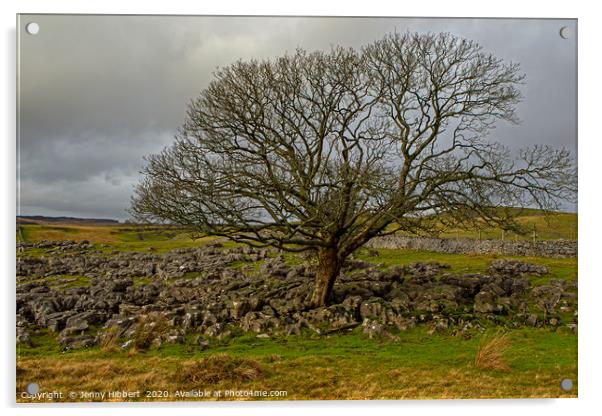 Large tree growing in the limestone above Ystradfe Acrylic by Jenny Hibbert