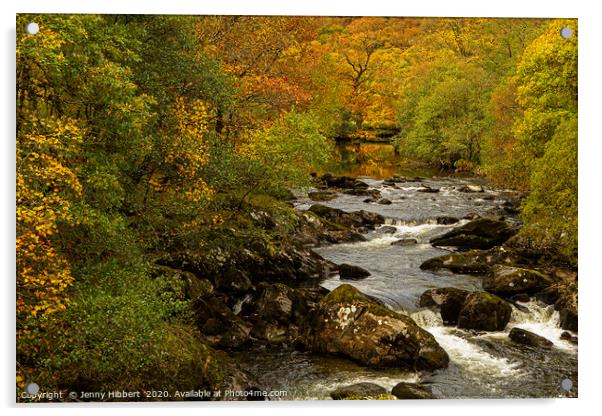 River near to Capel Curig at autumn time Acrylic by Jenny Hibbert