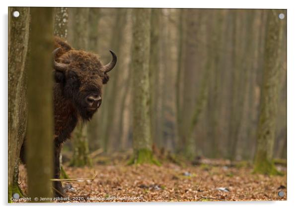 Large European Bull Bison in Bialowieza forest Pol Acrylic by Jenny Hibbert