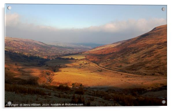 Winters sun on view looking across to Brecon Wales Acrylic by Jenny Hibbert