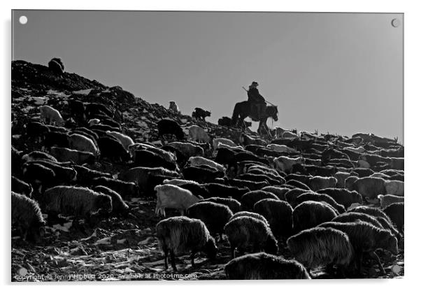 A black and white photo of a herder with livestock migrating in Mongolia Acrylic by Jenny Hibbert