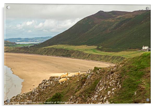 Looking across Rhossili bay on the Gower Peninsular Acrylic by Jenny Hibbert