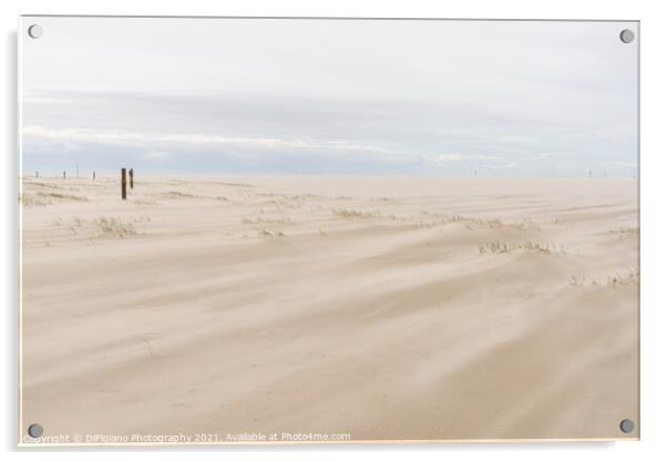 Wadden Sea Wind and Beach Acrylic by DiFigiano Photography